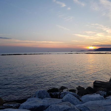 Hotel Patrizia Marina di Massa Eksteriør billede